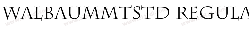 WalbaumMTStd Regular字体转换